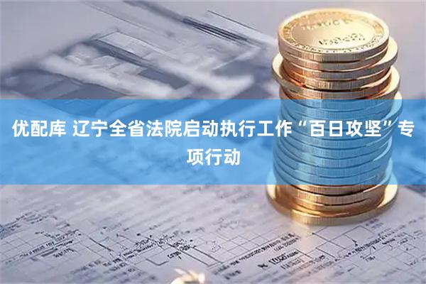 优配库 辽宁全省法院启动执行工作“百日攻坚”专项行动