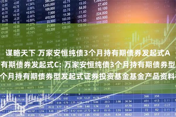 谋略天下 万家安恒纯债3个月持有期债券发起式A,万家安恒纯债3个月持有期债券发起式C: 万家安恒纯债3个月持有期债券型发起式证券投资基金基金产品资料概要(更新)