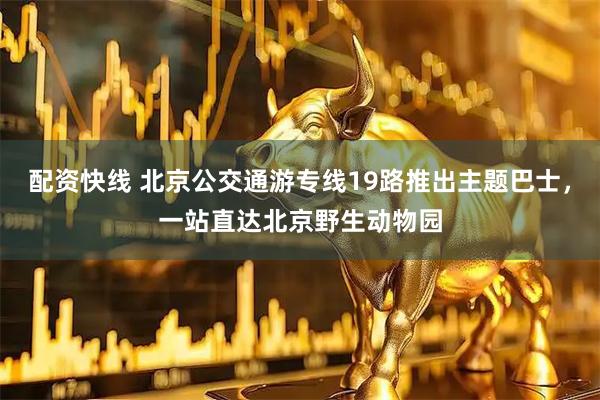 配资快线 北京公交通游专线19路推出主题巴士，一站直达北京野生动物园