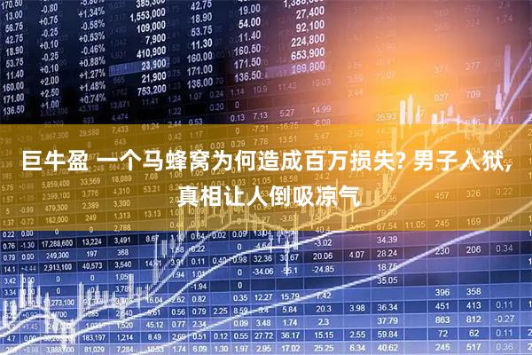 巨牛盈 一个马蜂窝为何造成百万损失? 男子入狱, 真相让人倒吸凉气