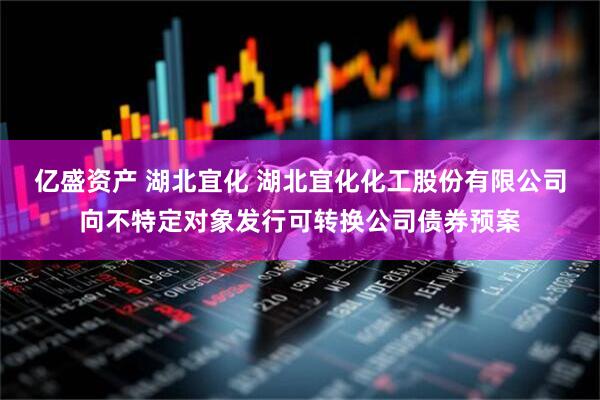亿盛资产 湖北宜化 湖北宜化化工股份有限公司向不特定对象发行可转换公司债券预案